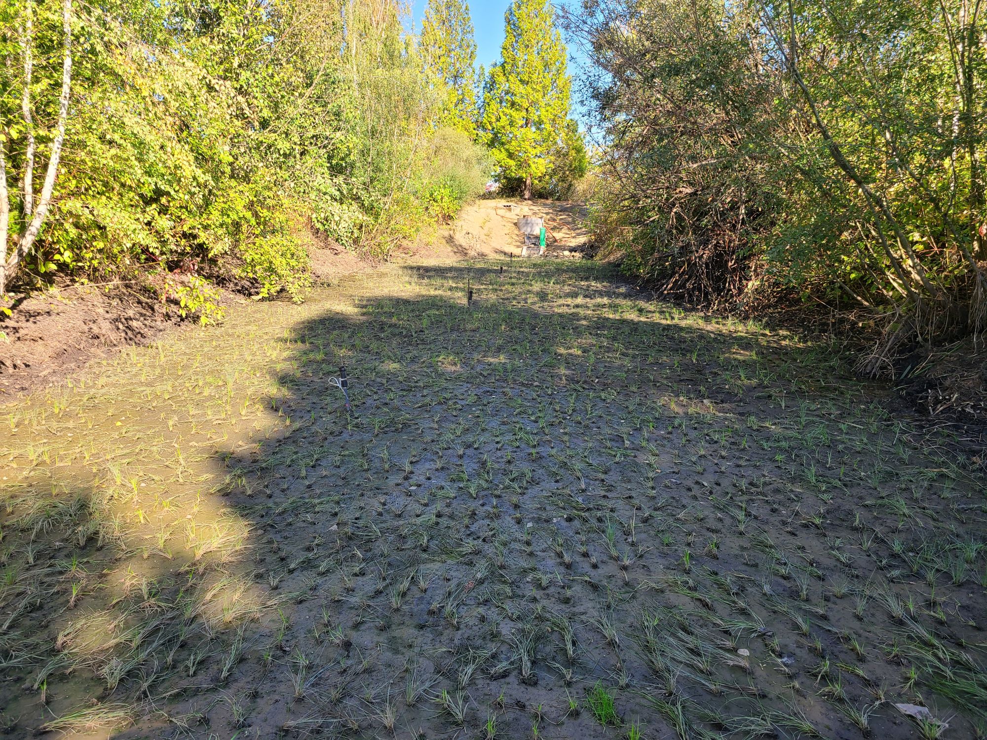 stormwater pond